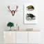 Tortoise & Turtle Illustrations PL. 1 by Charles D' Orbigny - Wrapped Canvas Painting-55361401