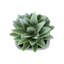 Plante artificielle