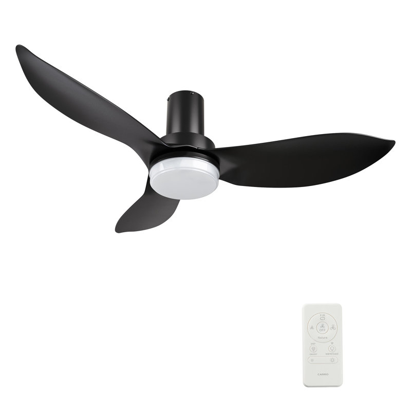 Ryna Smart Ceiling Fan with Remote, Light Kit Included,Works with Google Assistant and Amazon Alexa,Siri Shortcut., Black