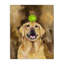 Golden Retriever avec toile de balle de tennis, design par George Dyachenko-665057233