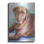Red Barrel Studio® «Must Love Dogs Chocolate Lab» par Lindsay Kivi, art mural en métal-219753797