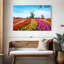 Harnek Windmills Beyond Tulips-108155616