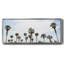 Laguna Beach-1030308846-1030308841