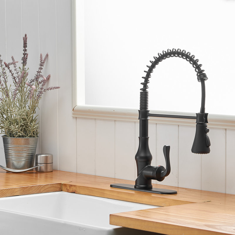 VIBRANTBATH Kitchen Faucet, Matte Black