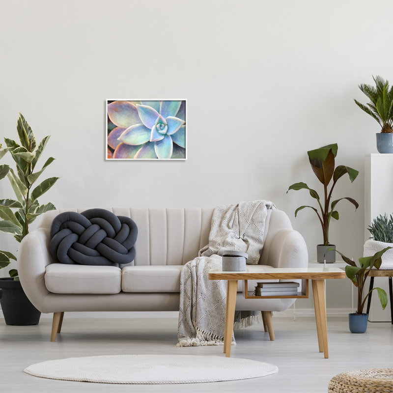 «Succulent Plant Vibrant Bloom», impression, H 11 po x l 14 po x 1,5 po, Giclée encadrée blanc bord de mer