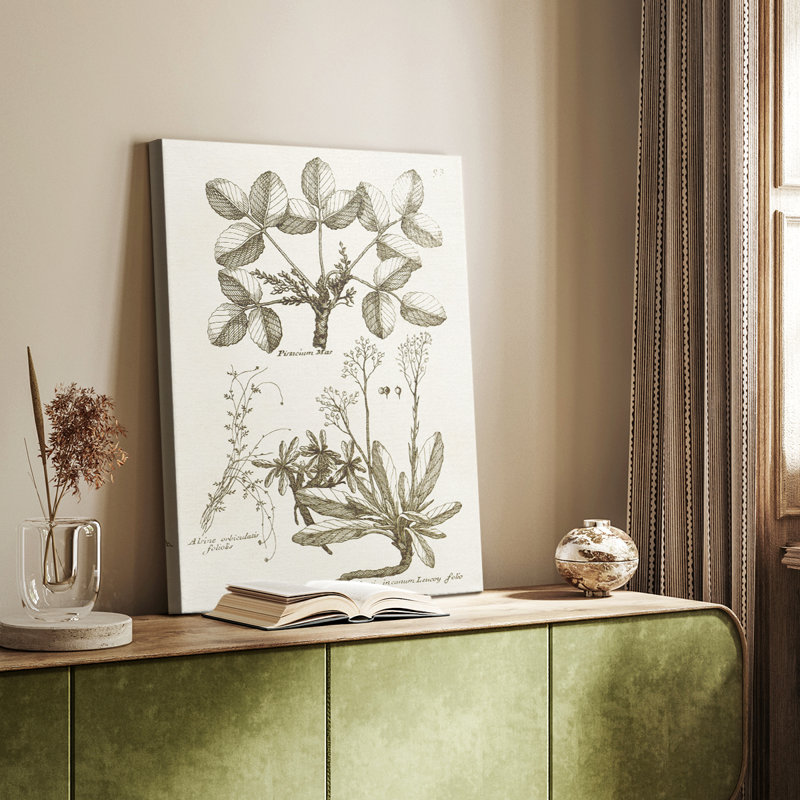 Sépia Botanical Journal VI - galerie sur mesure Cavas, H 60 po x l 40 po