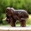 Charming Little Elephant Wood Sculpture