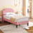 Twin Size Pink Velvet Platform Bed with Nailhead Trim Headboard, Upholstered Bed Frame No Box Spring Needed, Modern Blush Pink Bed for Bedroom-2101124067-2101124066