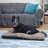 Camille Polyester Pet Bed-978440348