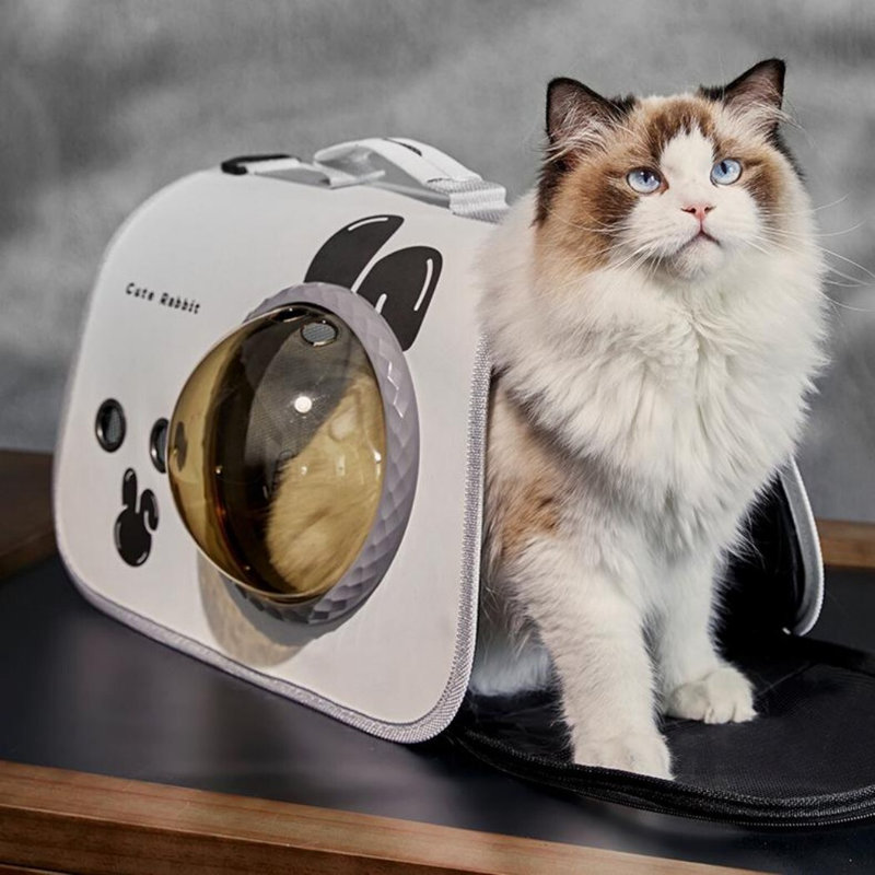 Pet Bag Foldable Cat Carrier Backpack, 9.84" H x 16.54" W x 8.27" D
