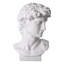 David Bust