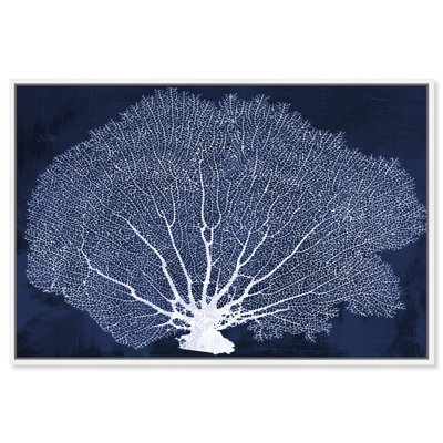 " Coral Fan Cyanotype Marine Life " by Oliver Gal