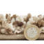 Lori Beige Rug-23083158