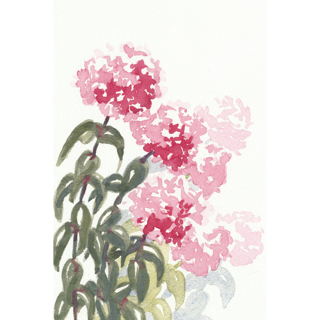 Champagne Pom Poms I by Dianne Miller - Wrapped Canvas Painting