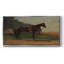 Cheval de selle - Toile tendue avec châssis encadré - Prêt à être accroché-1263641450-1263641454