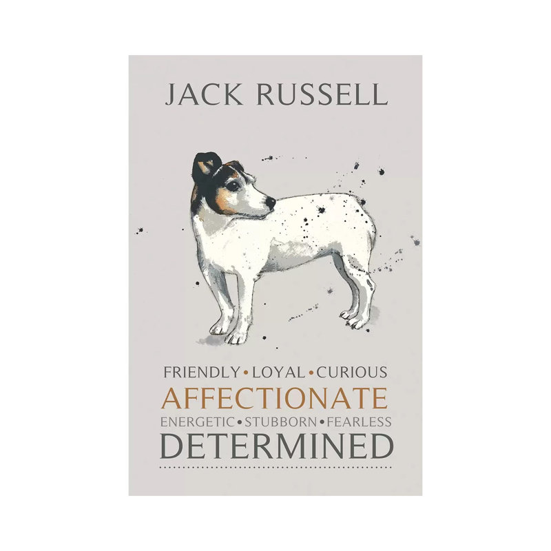 Jack Russell by Michelle Campbell - Wrapped Canvas Print, 101.6 cm H x 66.04 cm W x 3.175 cm D