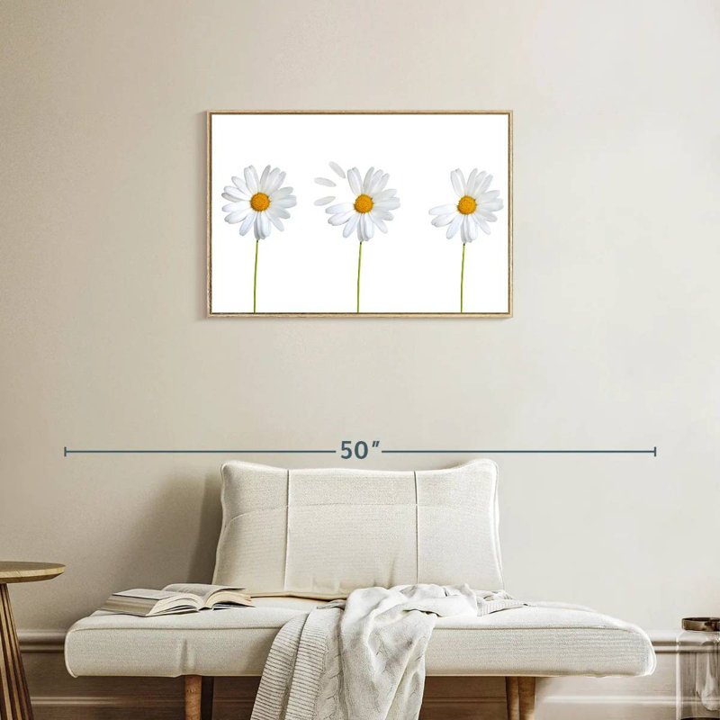 Marguerites plumées, Cadre flottant en bois naturel, 31 po x 21 po