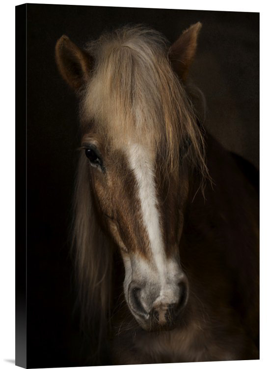 " Sapience " by Martine Benezech, 18" H x 12" W x 1.5" D