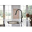 SmartTouch© Pull-Down Prep Kitchen Faucet-301392010