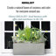 Window Box Planter-36035306-36035305