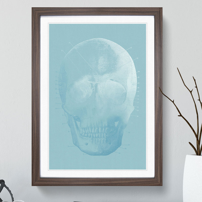 Blue Twilight Skull - Picture Frame Graphic Art, 36cm H x 27cm W x 2cm D, Walnut