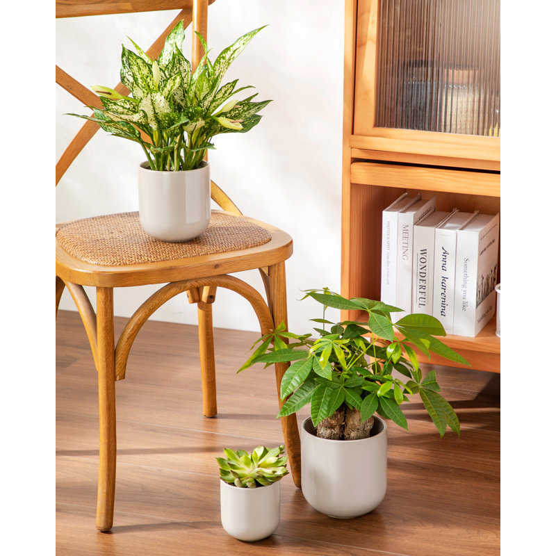 HDHPOT Ceramic Pot Planter, Grey