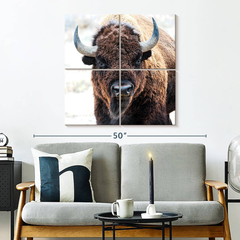 Bison d'Amérique - un trésor national, H 32 po x l 32 po