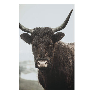 Moody Cow - Print on Canvas