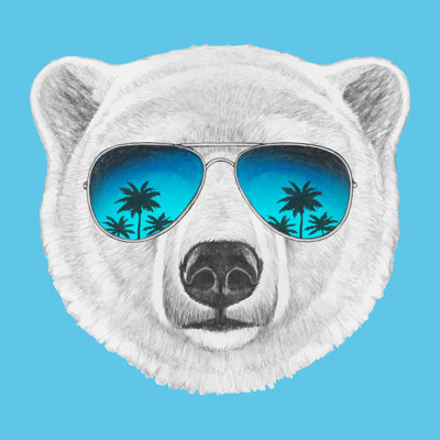 Bear With Sunglasses - Wrapped Canvas Print