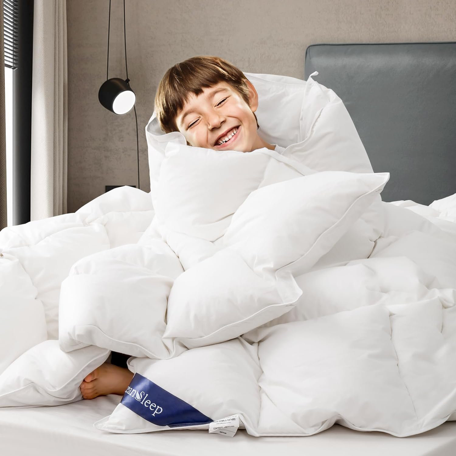 Wayfair Goose Down Comforter Queen Size All Season White Fluffy