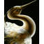 Bird Print-25704788-25704789