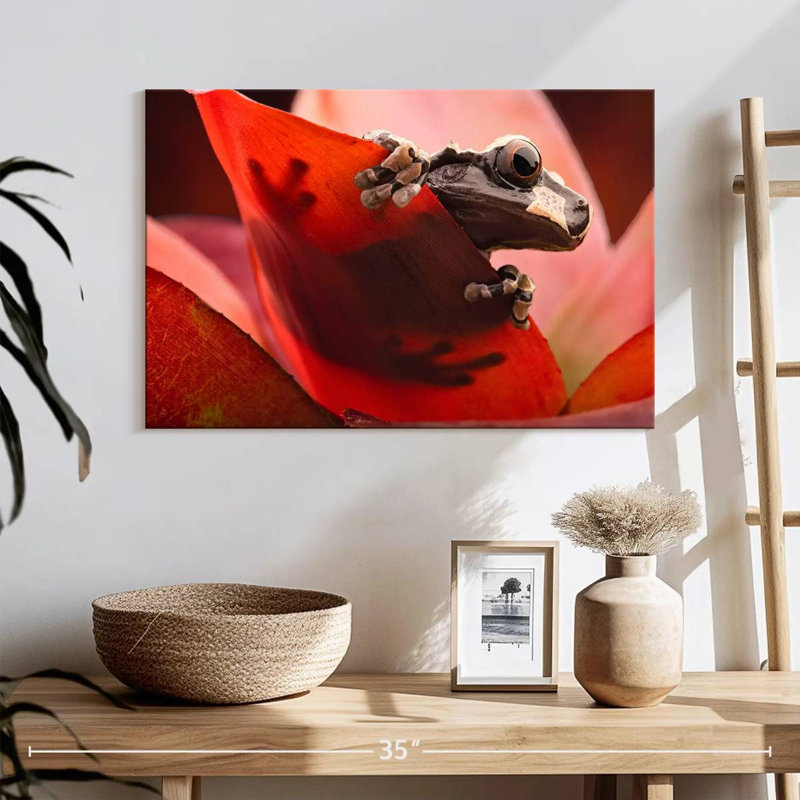 Brampt Amazon Tree Frog, 16" H x 24" W
