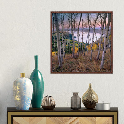 Aspen Forest Overlooking Fremont Lake, Bridger-Teton National Forest, Wyoming I by Tim Fitzharris - Gallery-Wrapped Canvas Giclée on Canvas