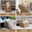 Escalier pour animal 3 marches Emalee-1479917144-1480067191