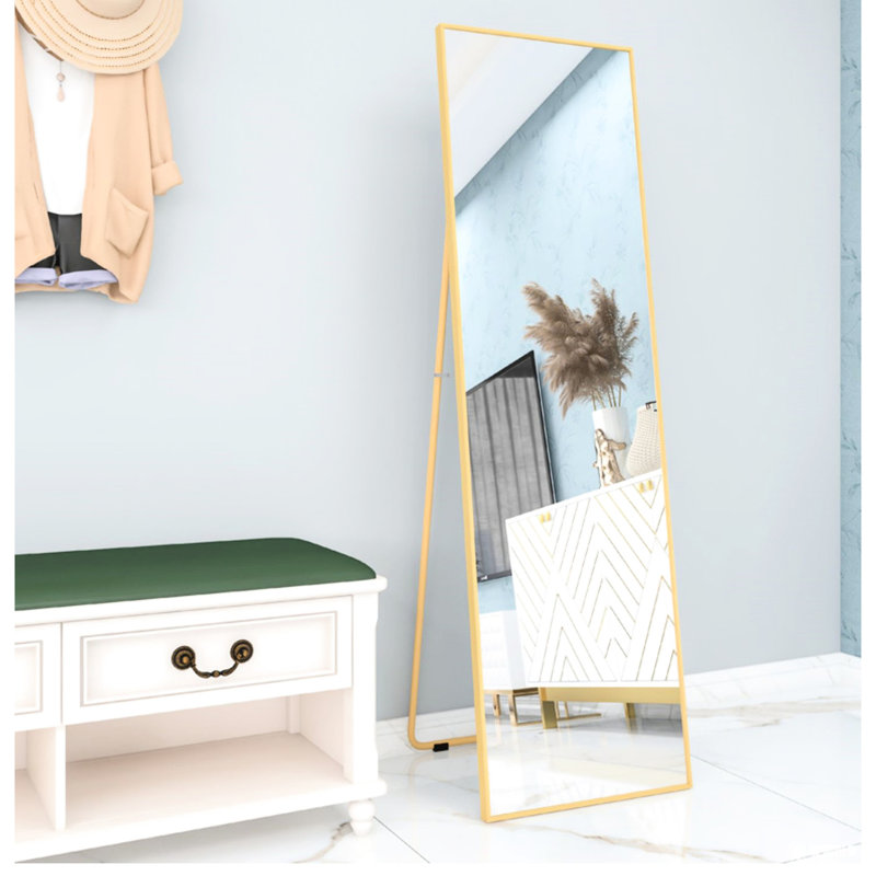 Miroir pleine longueur Golden Alloy, 65 po x 24 po 3 po, 25 lb