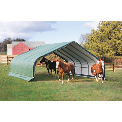 22 Ft. W x 20 Ft. D Apex Metal/Plastic Shed