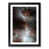 Black Framed