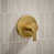 Brushed Brass