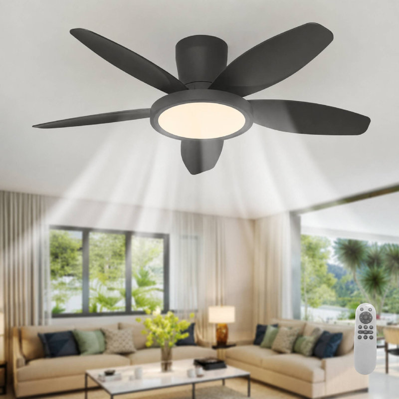 106cm Ceiling Fan with LED Lights, Black, Black