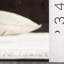 Tapis vert / ivoire Geonwoo 590-1833987369