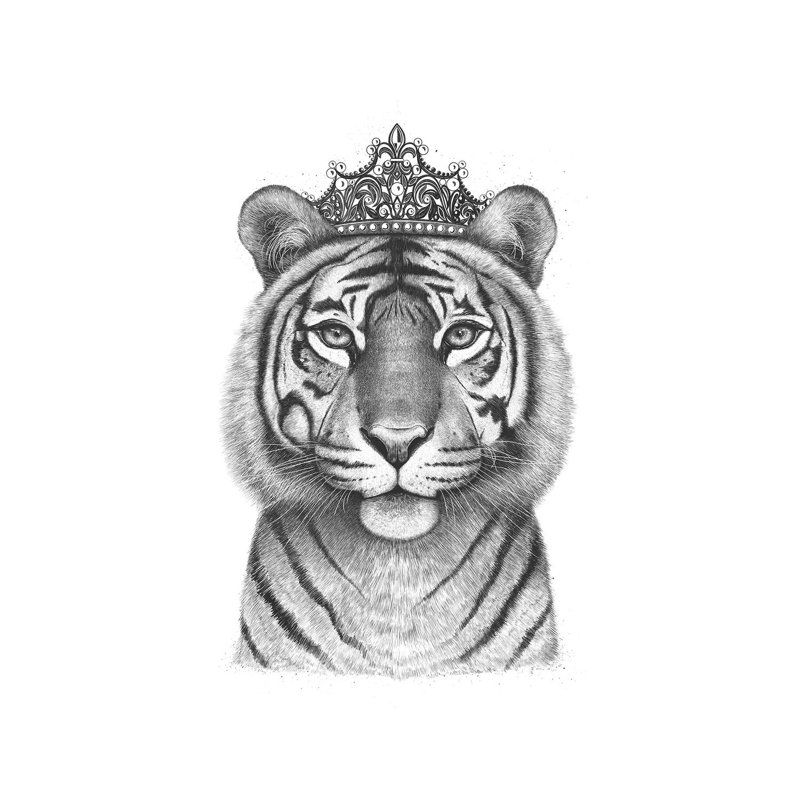 The Tigress Queen by Valeriya Korenkova - Wrapped Canvas Gallery-Wrapped Canvas Giclée, 20.32 cm H x 30.48 cm W