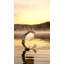 Crest Table Lamp-2112948394