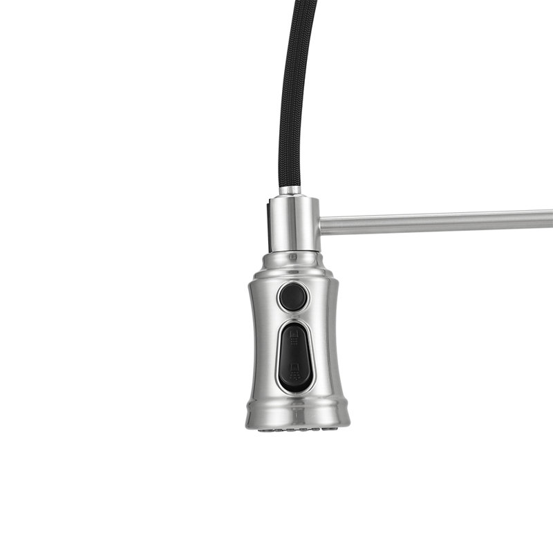 Belfry Kitchen Pull Out Kitchen Faucet, Silver