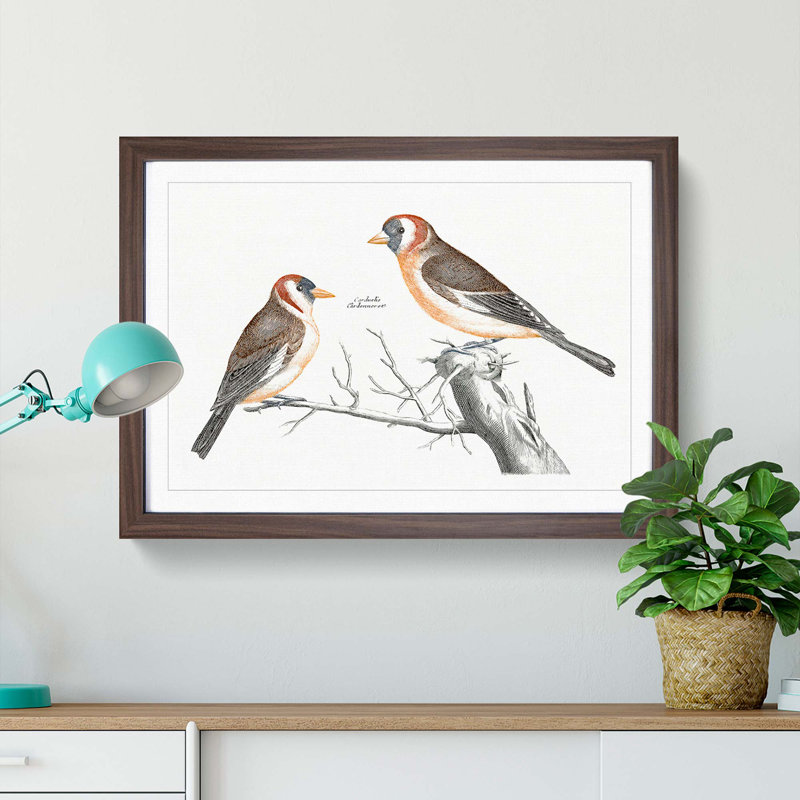 Goldfinches by Johan Teyler - Picture Frame Painting Print, 27cm H x 36cm W x 2cm D, Walnut Framed