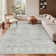 Oriental Vintage Machine Washable Non-Slip Indoor Area Rug