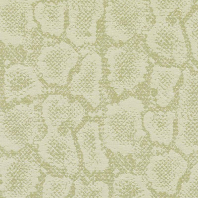 Tissu Sophisticated Suite II