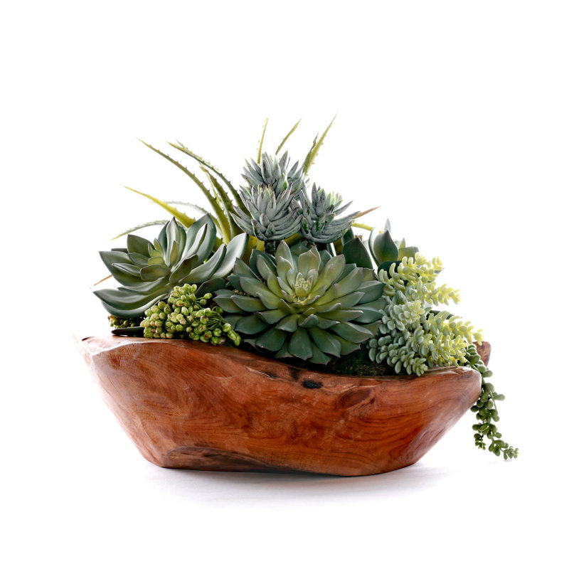 Faux Succulent Plant