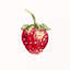 Tissu frais Schumacher x Johnson Hartig Freshie
