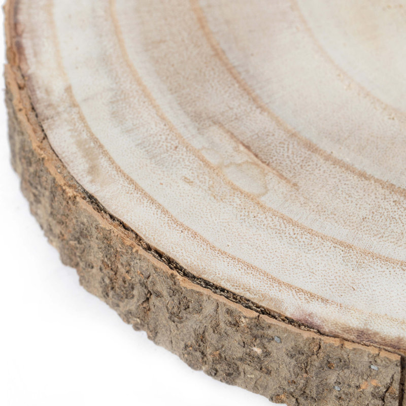 Barky Natural Wood Slabs Rustic Ornament Slice Tray Table Charger Set Of 4, 1" H x 10" W x 10" D