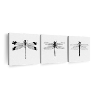 " Black Dragonflies " 3 - Pieces